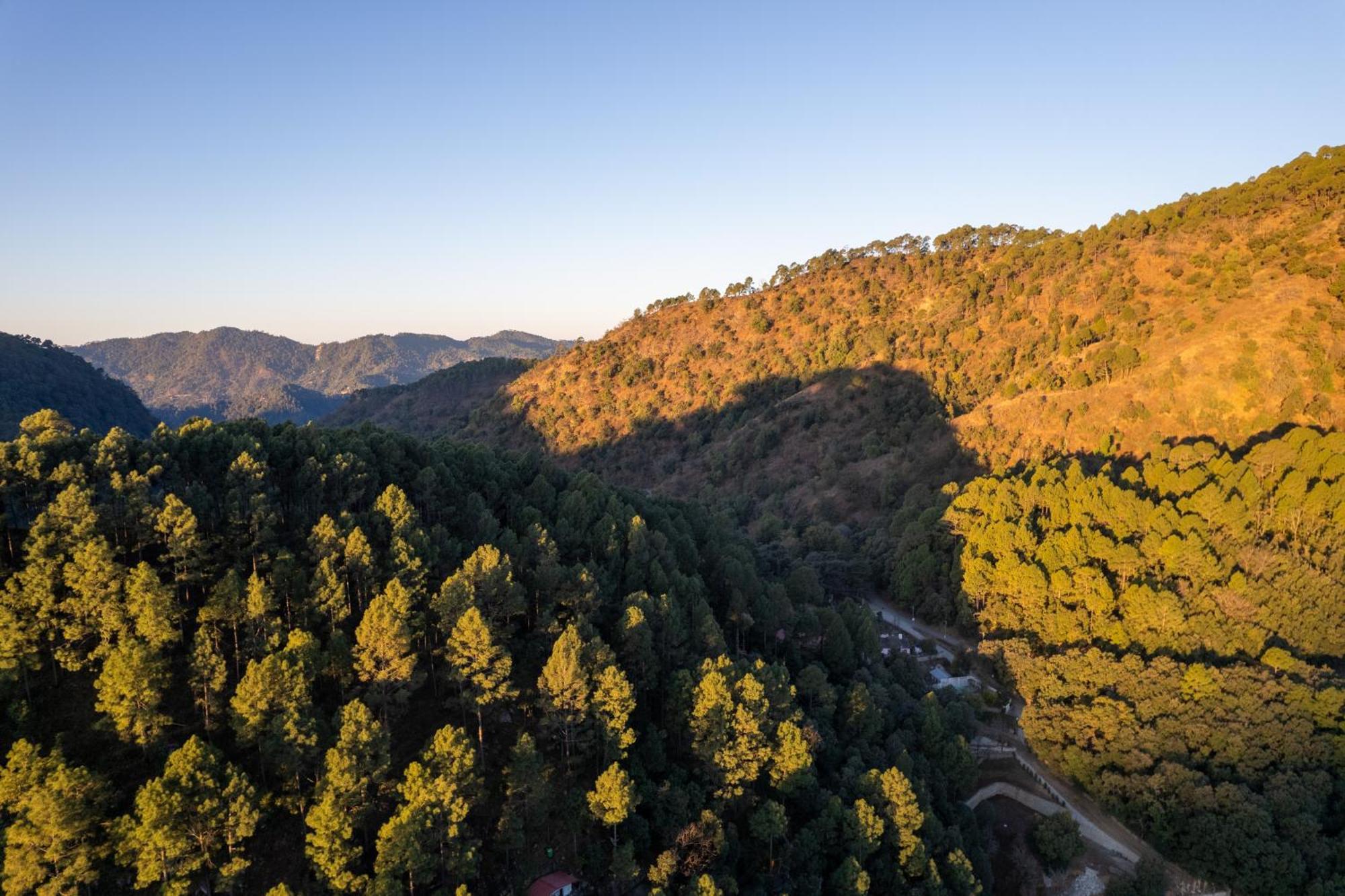 The Canadian Woods Resort Nainital Extérieur photo
